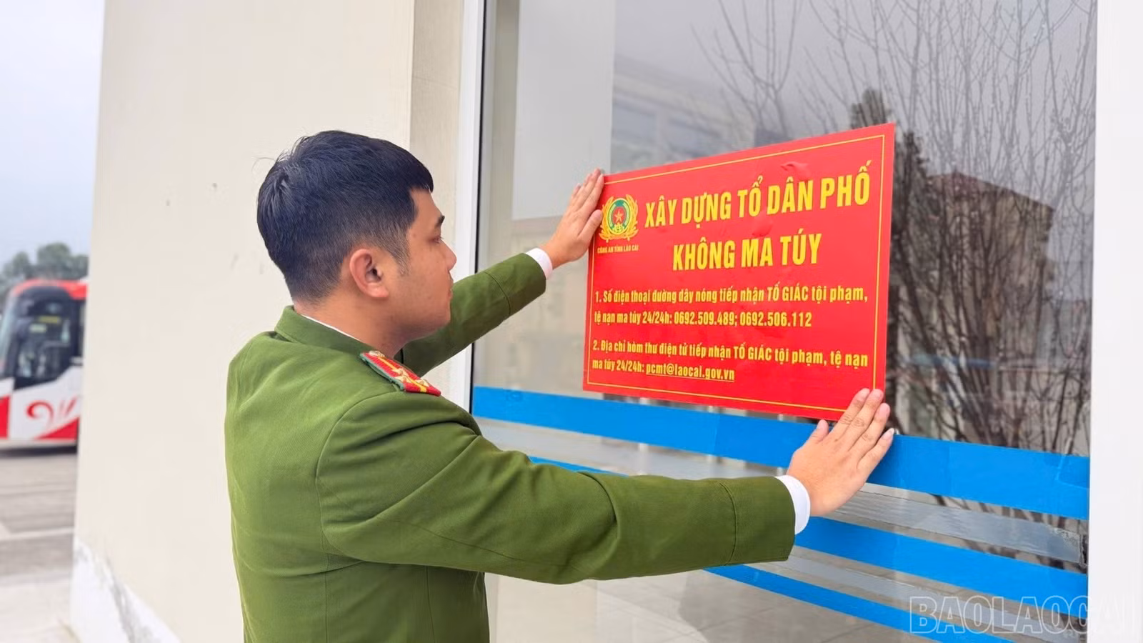 baolaocai-br_mt33-1216.jpg