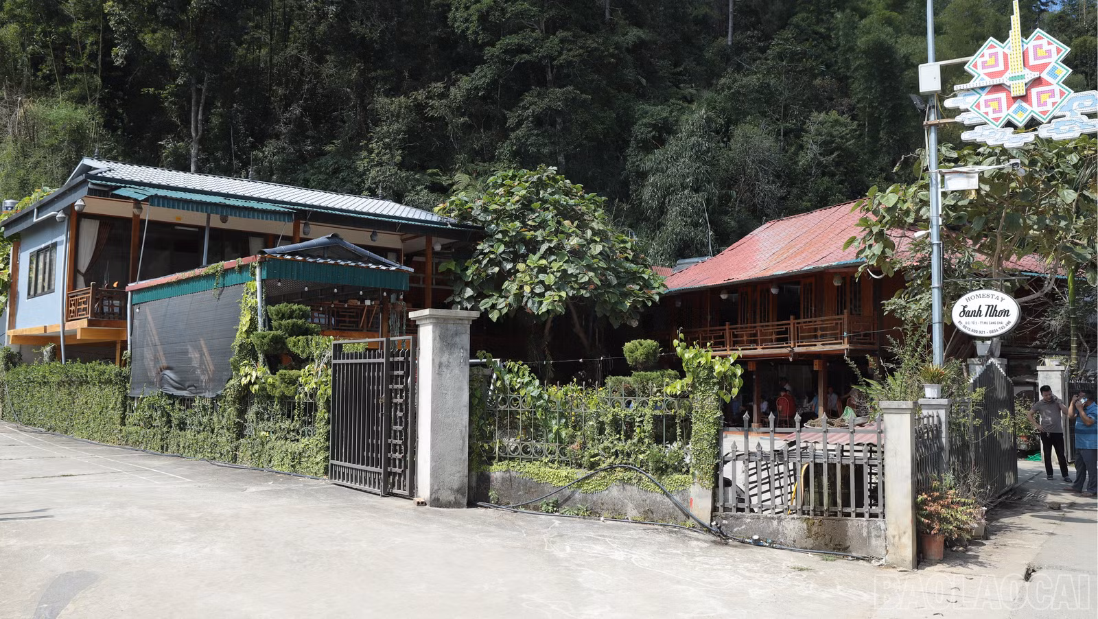 baolaocai-br_img-8397.jpg