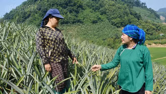 Phát huy vai trò “hạt nhân” của bí thư chi bộ