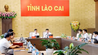 Lào Cai tham dự Phiên họp lần thứ Tư Ban Chỉ đạo của Chính phủ về phát triển khoa học, công nghệ, đổi mới sáng tạo, chuyển đổi số và Đề án 06