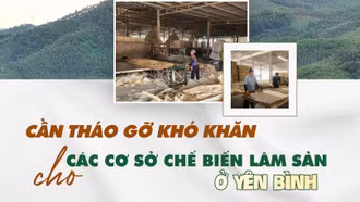 Cần tháo gỡ khó khăn cho các cơ sở chế biến lâm sản ở Yên Bình