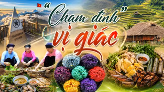 “Chạm đỉnh” vị giác