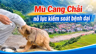 Mù Cang Chải chủ động kiểm soát bệnh dại