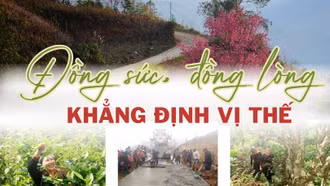 Đồng sức, đồng lòng khẳng định vị thế