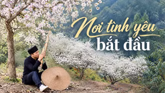 Nơi tình yêu bắt đầu