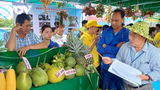 Lễ hội trái cây Việt Nam lần đầu tiên được tổ chức ở Trung Quốc