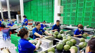 Mở cửa thị trường: Động lực đưa trái cây Việt tăng trưởng xuất khẩu
