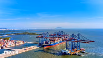 Người Việt bốn phương: Tự hào về cội nguồn dân tộc