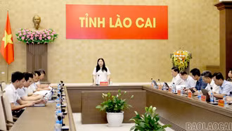 Chuẩn bị chu đáo công tác tuyên truyền, khánh tiết phục vụ Hội nghị Xúc tiến đầu tư tỉnh Lào Cai năm 2026