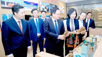 80 gian hàng quảng bá tiềm năng phát triển của Lào Cai tại Hội nghị Xúc tiến đầu tư năm 2026