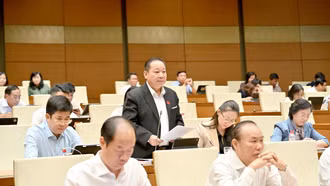 Đại biểu Quốc hội Tráng A Dương góp ý chính sách phát triển thị trường bất động sản