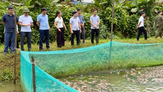 Đổi mới phương thức lãnh đạo từ cơ sở sau sắp xếp