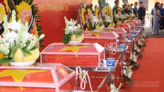 Từ đại ngàn các anh trở về