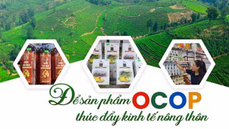 Để sản phẩm OCOP thúc đẩy kinh tế nông thôn