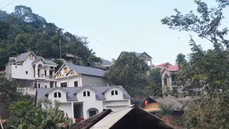 Phố trong rừng