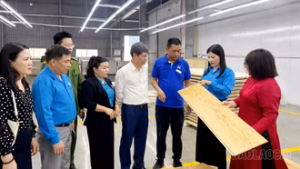 Đẩy mạnh phát triển công đoàn trong doanh nghiệp ngoài Nhà nước