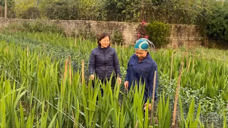 “Đòn bẩy” giúp nông dân Lục Yên phát triển kinh tế bền vững