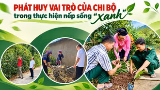 Phát huy vai trò của chi bộ trong thực hiện nếp sống “xanh”