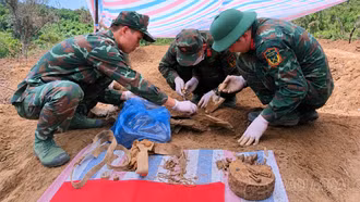 Những dấu chân không mỏi