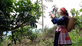 Kể chuyện quê hương trên không gian số