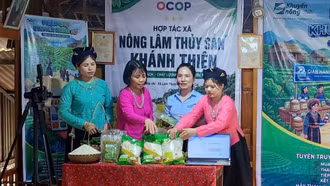 Chuyển đổi số ở Lào Cai: Lấy hiệu quả thực chất làm thước đo