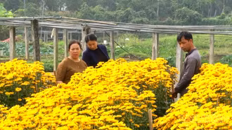Phúc Khánh vào xuân