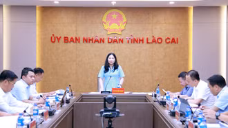 Lào Cai đề nghị khen thưởng cấp Nhà nước cho 59 cá nhân theo thành tích cống hiến