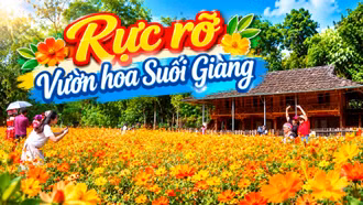 Sắc vàng rực rỡ ở vườn hoa Suối Giàng