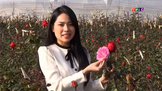 Hoa hồng trên đất Nậm Khắt