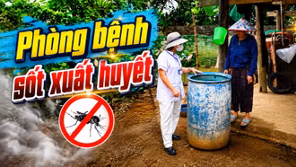 Mùa mưa chủ động phòng bệnh sốt xuất huyết