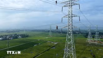 Chống lãng phí trong phát triển kinh tế, đưa đất nước tiến vào kỷ nguyên mới