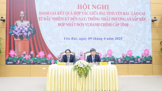 Ban Thường vụ Tỉnh ủy Lào Cai và Yên Bái đánh giá kết quả hợp tác và bàn phương án sắp xếp, hợp nhất đơn vị hành chính cấp tỉnh