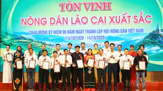 Tôn vinh 96 “Nông dân Lào Cai xuất sắc” năm 2026