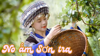No ấm sơn tra