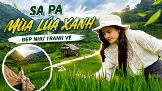 Sa Pa mùa lúa xanh: Cảm nhận sự bình yên giữa núi rừng Tây Bắc