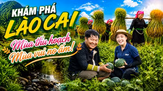 Khám phá Lào Cai: Sắc xanh dưa hấu Cốc San, sắc vàng mùa gặt Hợp Thành