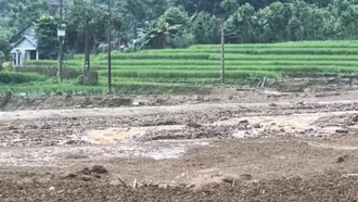 Mức hỗ trợ thiệt hại lúa và cây trồng khác do thiên tai theo nghị định mới của Chính phủ