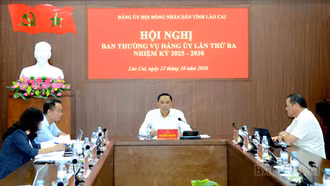 Đảng ủy HĐND tỉnh triển khai nhiệm vụ trọng tâm quý IV/2026
