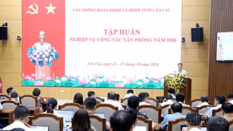 Tập huấn nghiệp vụ công tác văn phòng năm 2026