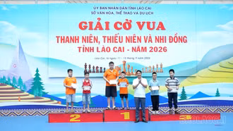 Bế mạc Giải Cờ vua thanh niên, thiếu niên và nhi đồng tỉnh Lào Cai năm 2026