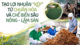 Tạo lợi nhuận “kép” từ chuẩn hóa và chế biến sâu nông - lâm sản