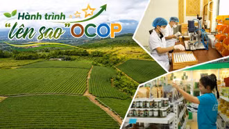 Hành trình “lên sao” OCOP