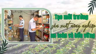 Tạo môi trường sản xuất nông nghiệp an toàn và bền vững