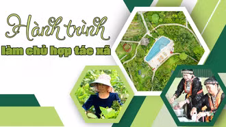 Hành trình làm chủ hợp tác xã