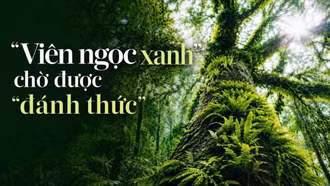 “Viên ngọc xanh” chờ được “đánh thức” 