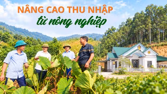 Nâng cao thu nhập từ nông nghiệp