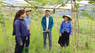 Khánh Yên chuyển mình trong tư duy phát triển nông nghiệp
