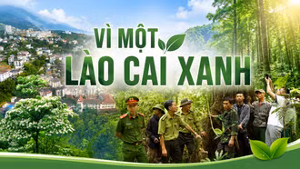 Vì một Lào Cai xanh