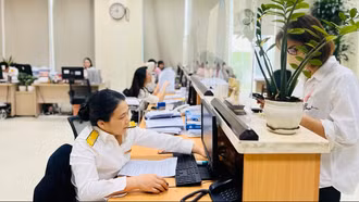 Chấn chỉnh tình trạng đã nộp thuế đất phi nông nghiệp vẫn bị ghi nợ