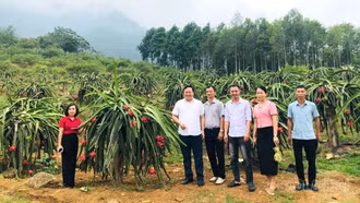 Phường Trung Tâm hoàn thiện từng khâu cuối cùng trước ngày khai hội “Hoa trái bốn mùa - Trải nghiệm và kết nối” năm 2026